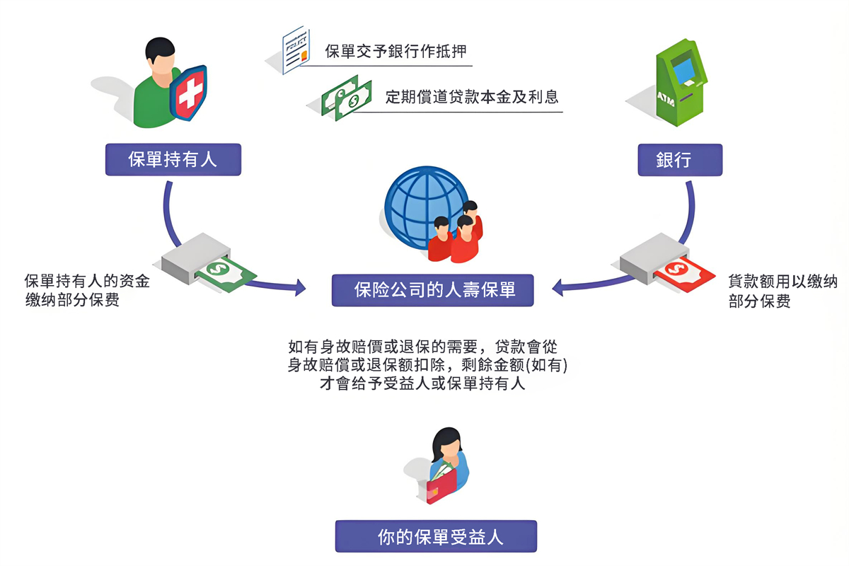 202510295214.jpg 12.jpg