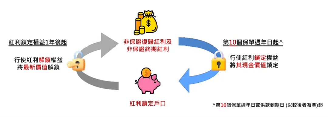 202511251783.jpg 23.jpg